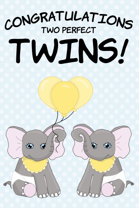 Congratulations On Your New Baby Twins Card