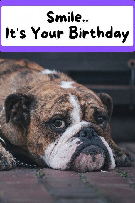 Smile.. It's Your Birthday - Dog